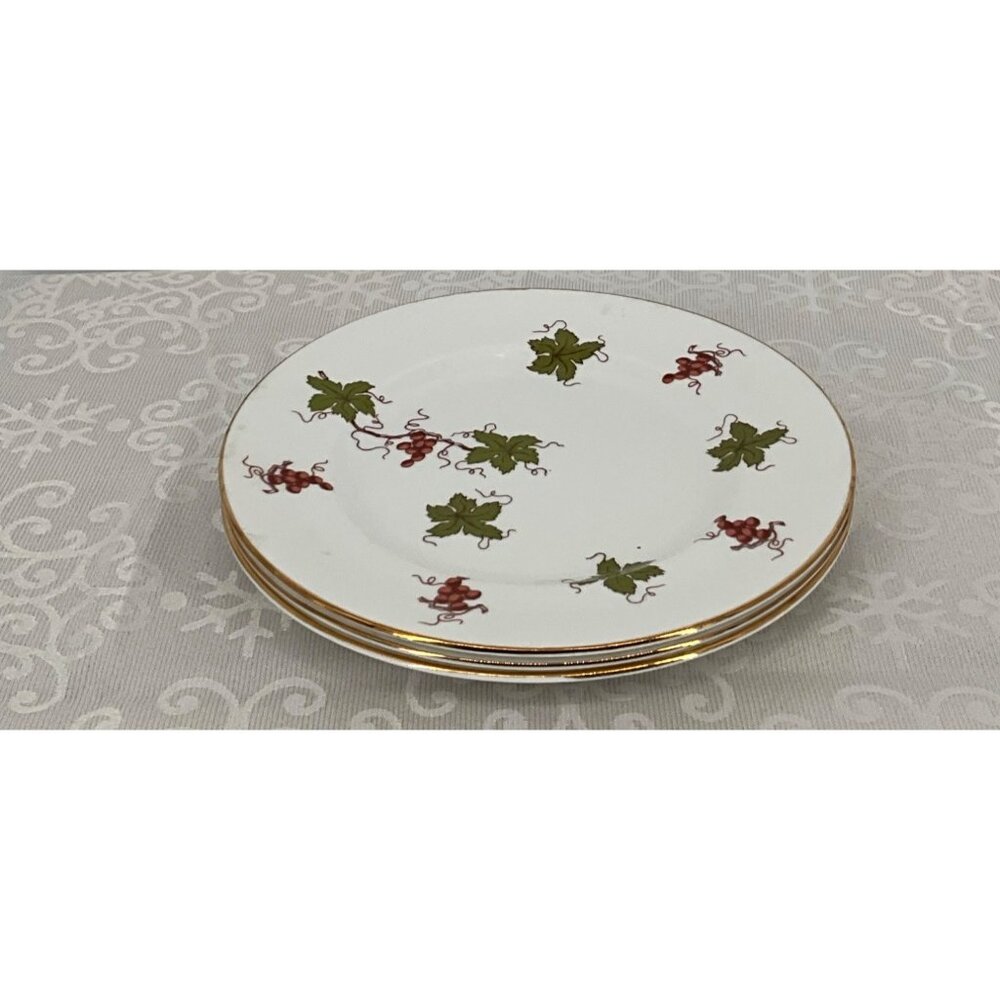 Royal Victoria ROV1 Fine Bone China Plates‎ Set Of 3 England Vine & Grape Design